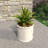 Tarneshia Round Handmade Fiberstone Planter – MGO Clay Plant Pot with Drainage Holes for Indoor & Outdoor Use-1751541032-1751541046