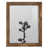 Walnut Framed