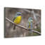 No Frame Print on Canvas-1132844823