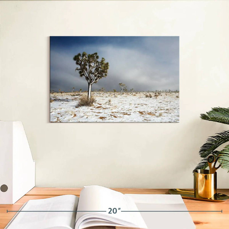 Harnek Snowy Mojave Desert, H 8 po x l 12 po