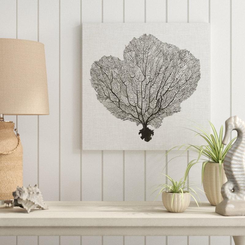 Shadow Sea Fan I by Grace Popp - Wrapped Canvas Graphic Art Print on Canvas, 51cm H x 51cm W