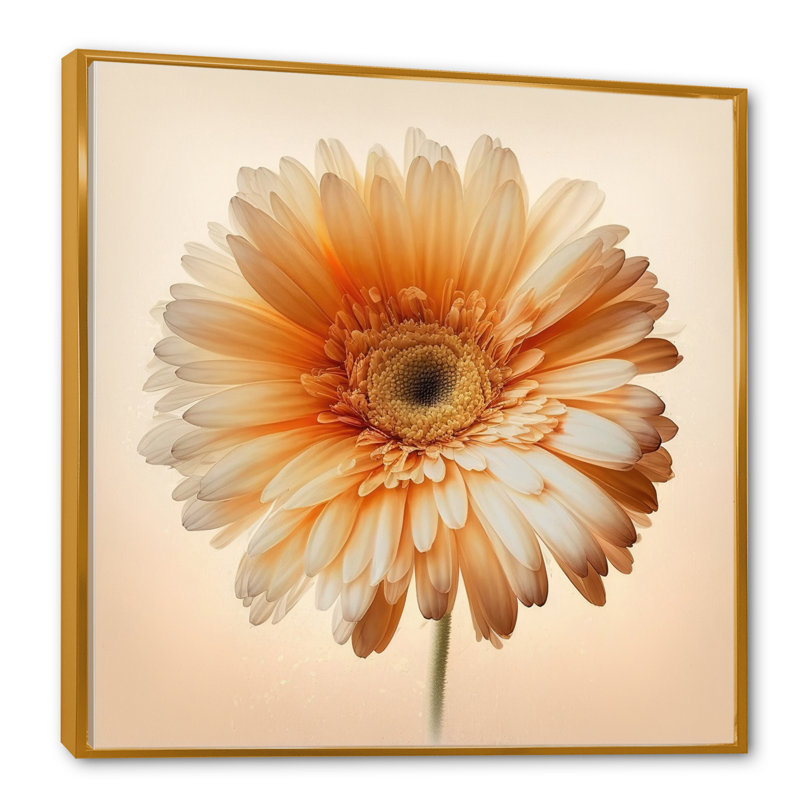 Orange Gerbera Flower V " Orange Gerbera Flower V ", 16" W x 16" H, Gold Floater Framed Canvas