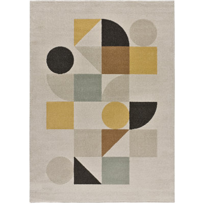 Geometric Area Rug