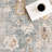 Delvina Vintage Traditional Medallion Area Rug-660521604
