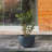 Planter