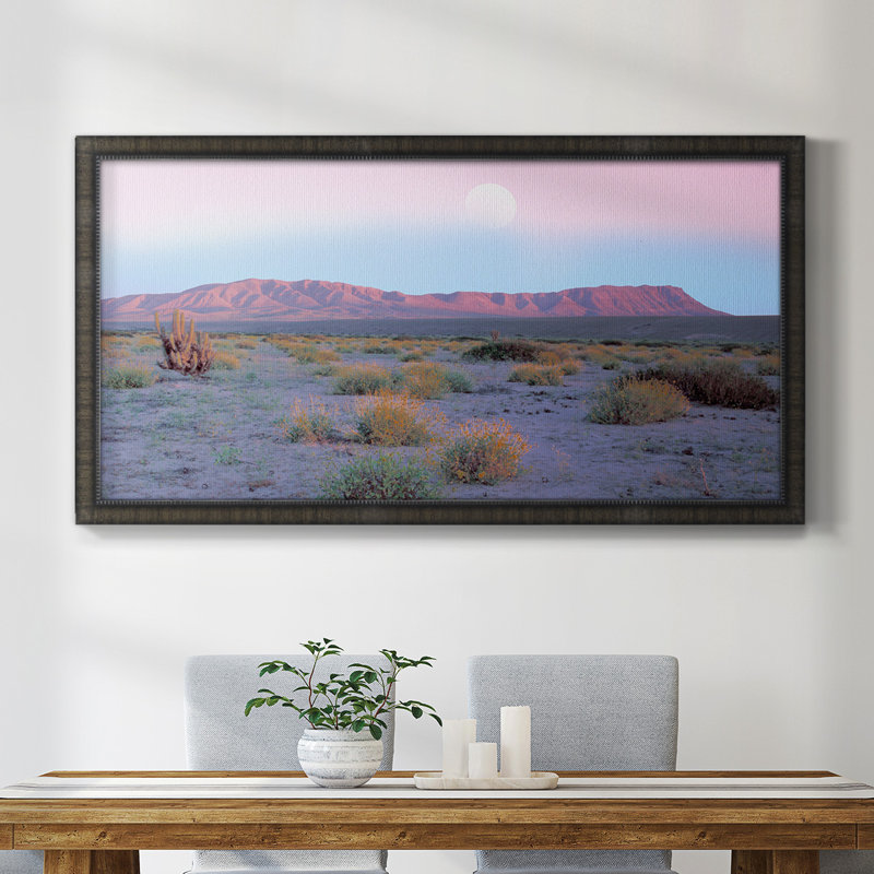 «Vallenar Atacama Desert», reproduction d'un seul cadre photo sur toile, H 25 po x l 45 po x P 1 po