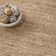 Adhern Indoor Rug