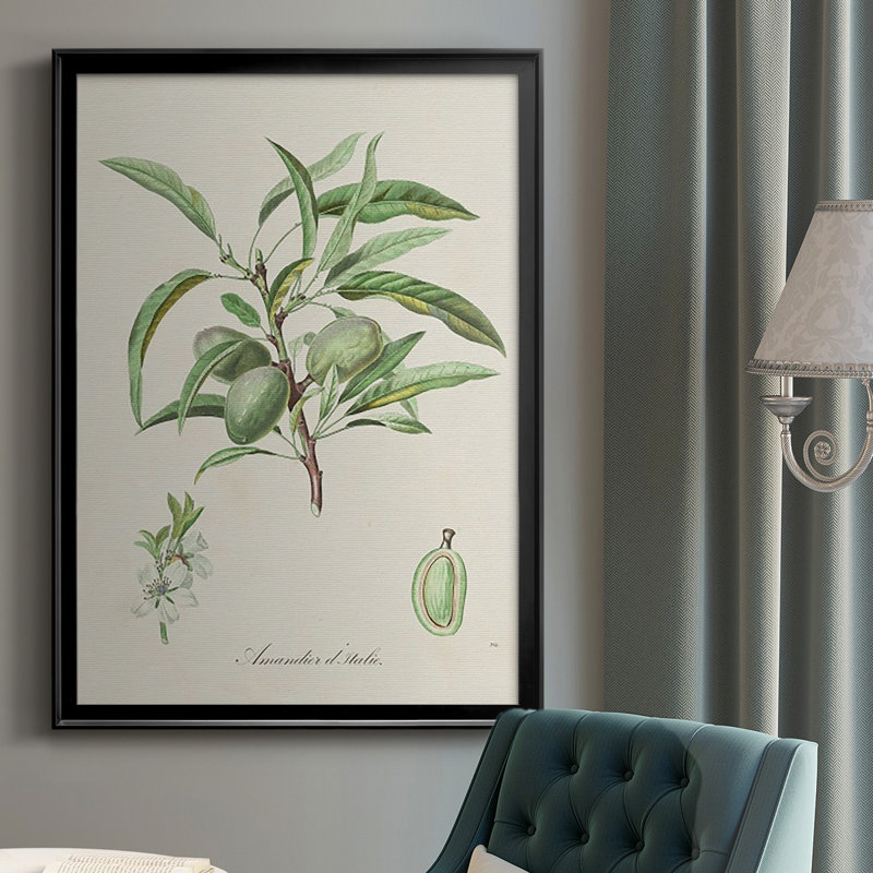 Amande antique botanique III, Noir, H 24,5 po x l 18,5 po x P 1 po