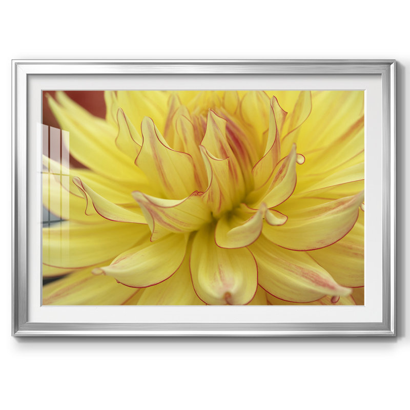 Blooms avec cadre en I et cadre biseauté mat et verre, Argent, H 19 po x l 27 po x P 1,5 po
