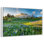 Springtime At Mount Rainier