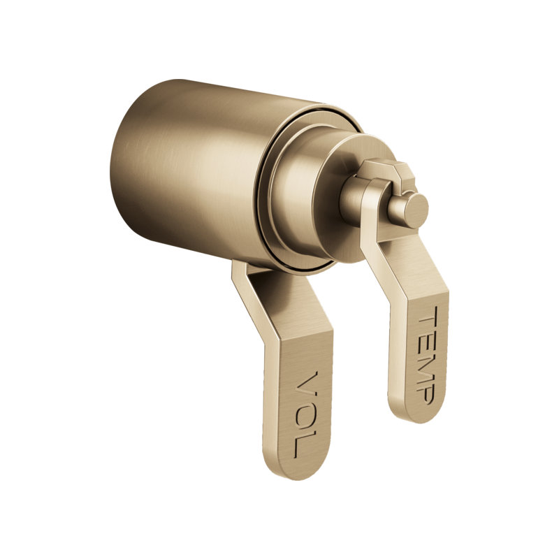 Litze® Lavatory/Bidet Diverter Trim, Luxe Gold, Industrial Lever
