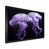 Black Single Picture Framed