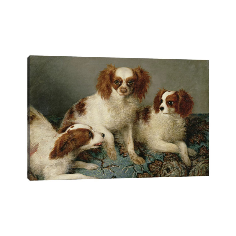Three Cavalier King Charles Spaniels On A Rug - Wrapped Canvas Painting