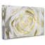 Crisp White Rose Painting - Wrapped Canvas-56658587