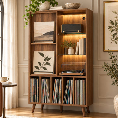 Grand grand tourne-disque avec prise de courant et lumières DEL, grande table de tourne-disque de 52,8 po avec porte coulissante et tablettes réglables, peut contenir jusqu'à 350 albums, et 5 disques vinyle pour salon