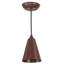 Rustic Lodge 1 - Light Pendant
