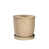 Light Brown selected