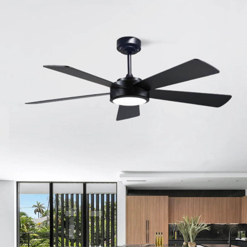 Ventilateurs de plafond modernes à 5 pales de 52 po avec lumières et télécommande, Noir