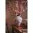 Round Ceramic Vase With Distressed White Finish And Hand-Painted Blue Floral Motif For Timeless Decor And Versatile Display.-191248146