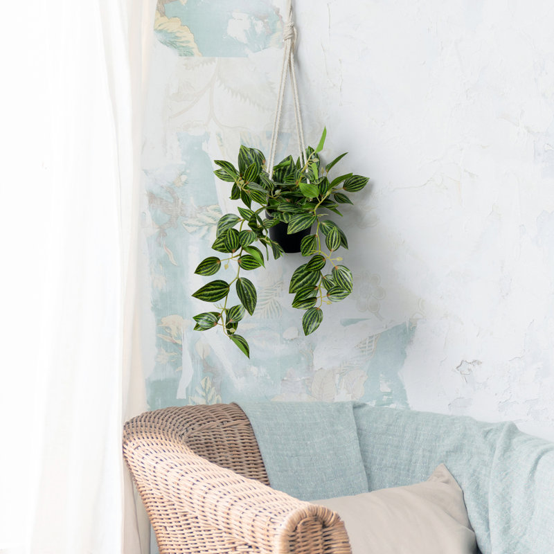 43.9cm Faux Plant