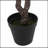 300CMARTIFICIAL DISC LEAF TREE-363329148
