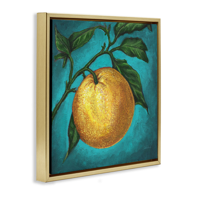 «Citrus Fruit on Branch», art mural sur toile flottante par Connie Resch, H 18 po x l 18 po, Cadre flottant métallique doré