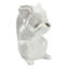 Squirrel Pitcher