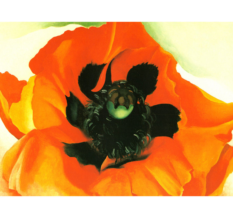 Poppy, 36" H x 48" W
