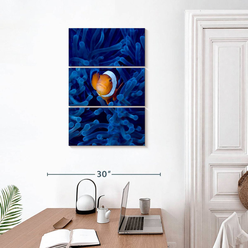 Brampt Blue Anemone Clownfish, 32" H x 20" W