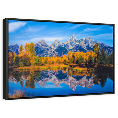 Feuillage doré Grand Teton