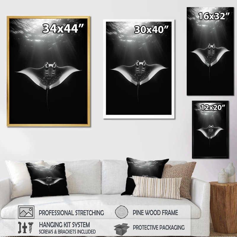 Reproduction d'art sur toile Giant Oceanic Manta, Cadre flottant noir, H 32 po x l 24 po x P 1 po
