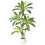 Plant-412834848