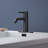 Single Handle Bathroom Faucet Lavatory Faucet Stainless Steel Single Hole-T10, Matte Black-118610647