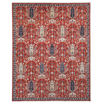 Hand Knotted Wool Area Rug in Red And Navy