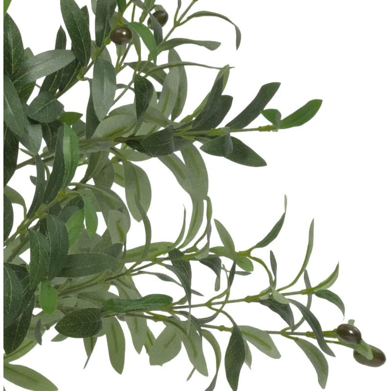 180cm Plant