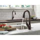 Esque Pull Down Single Handle Kitchen Faucet