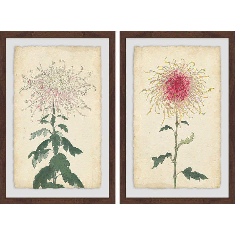 « spaghetti fleuris diptych », ensemble de 2 reproductions de dessins encadrées, H 24 po x l 16 po x L 1,5 po