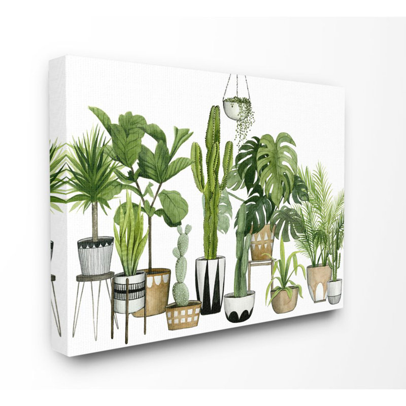 Boho, scène de plante avec des cactus et des plantes grasses dans des pots géométriques, L 36 po x H 48 po, Toile tendue