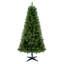Arbre de Noël 6 pi