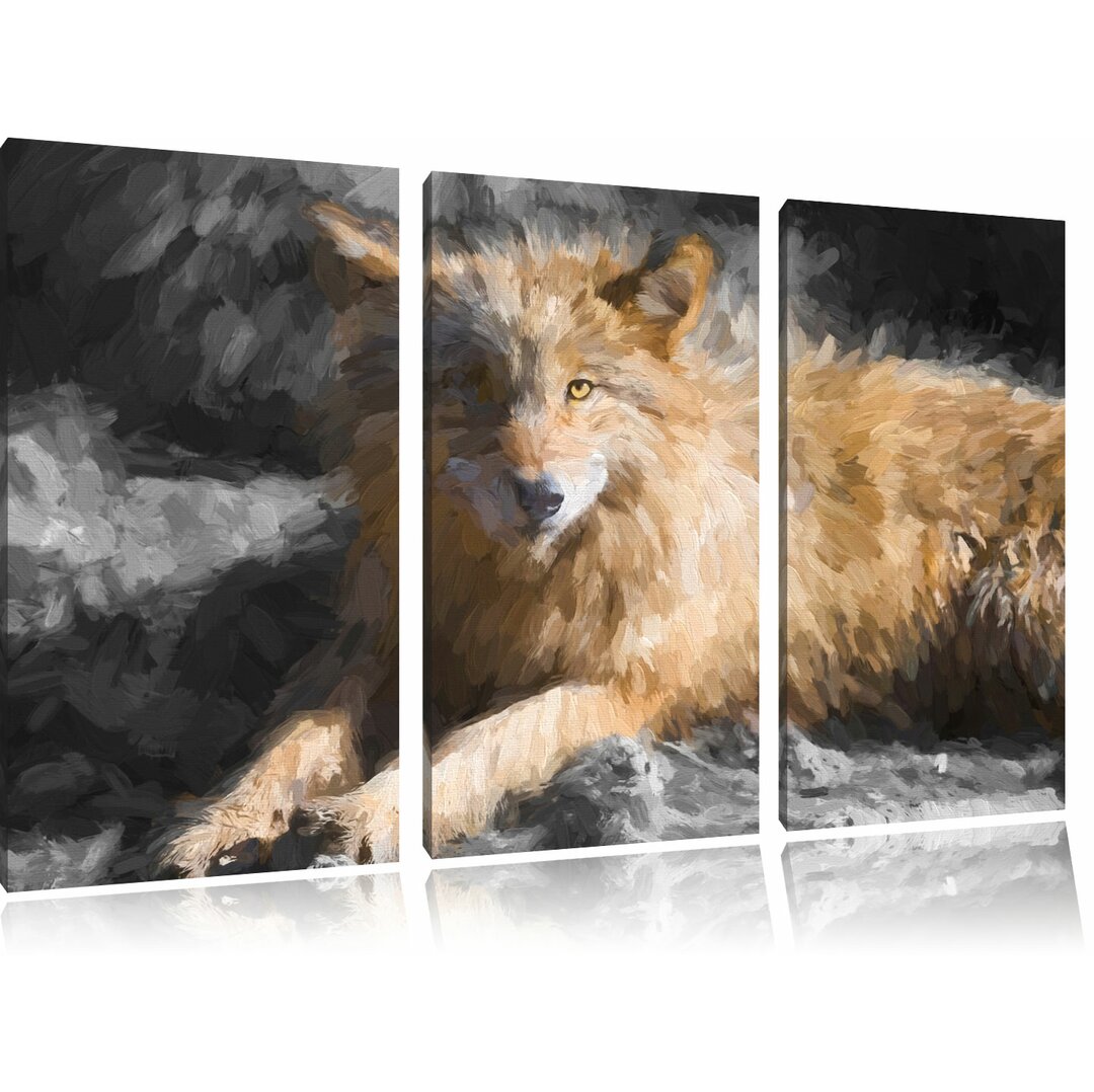 3-tlg. Leinwandbilder-Set Aufschauender Maiestätischer Wolf, Kunstdruck