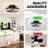 16" Smart Silent Flush Mount Ceiling Fan With Light – Invisible Blades, Remote & Timer-699810249