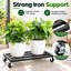 Iron Plant Stand 1 Tier Set of 2