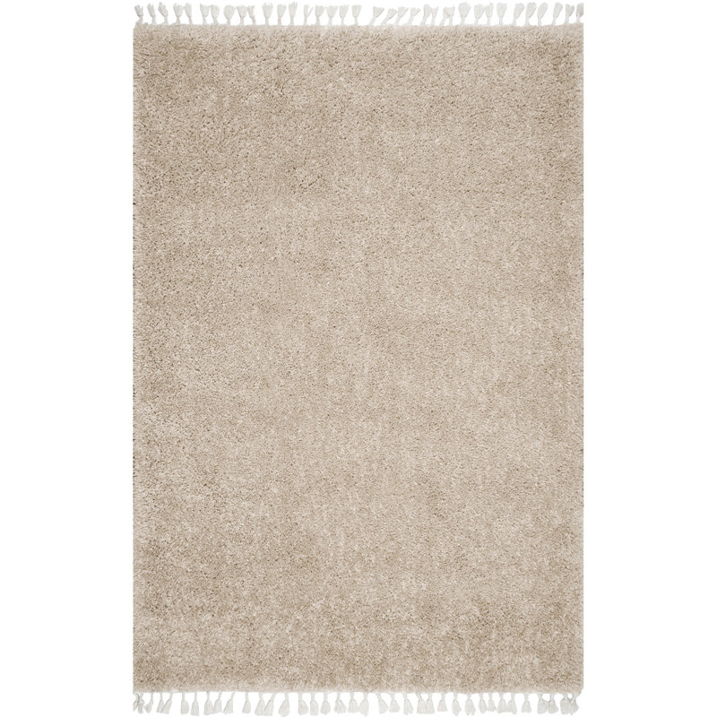 Tapis de couloir à poils longs Simms, Rectangle 10 pi x 14 pi 4 po