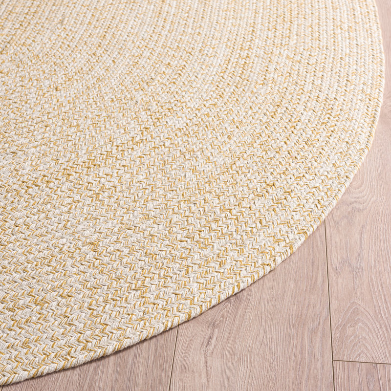 Tapis d'intérieur en coton tressé à tissage plat, Oval 4' x 6'