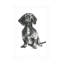 Art mural sur toile Winston Porter Cartissi Doggy Expressions IV-483208795
