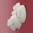 Paleo Barnacle Wall Art-1882632428