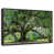 Floating Frame Black