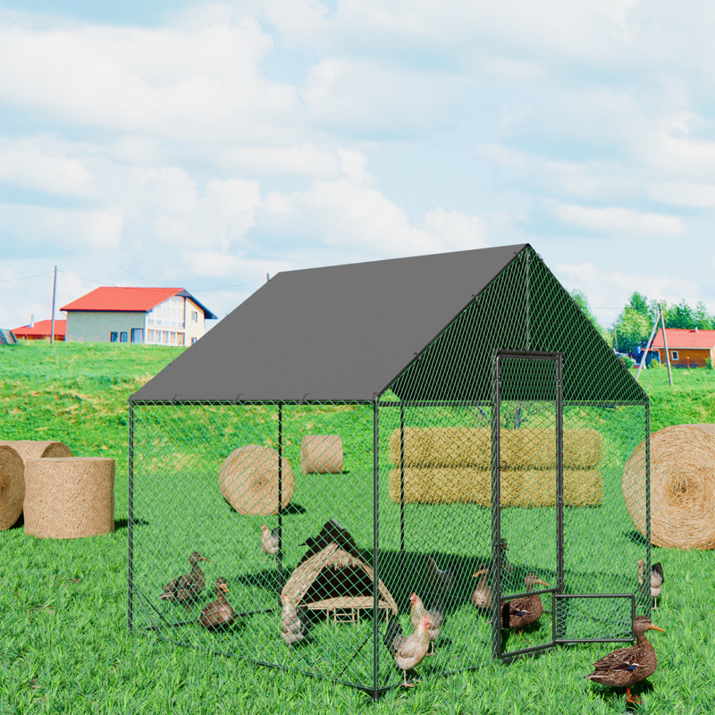 Chicken Run, 276cm H x 300cm W x 207cm D