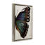 Toile d'aile de papillon classique par Melissa Wang-18274519-32420869