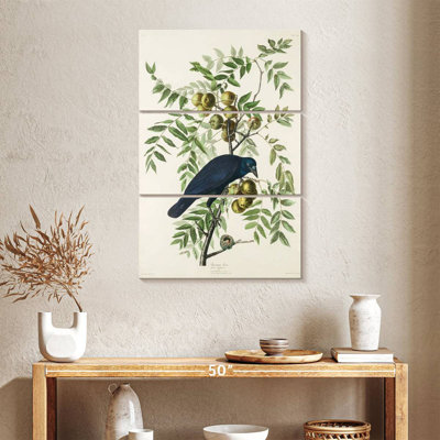 Brampt American Crow